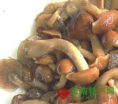 长柄粘滑菇_百度百科