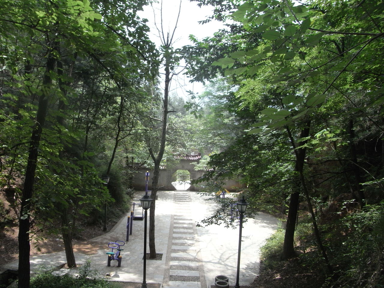 山阳苍龙山森林公园