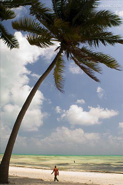  p>坦桑尼亚联合共和国(英文:the united republic of tanzania),简称