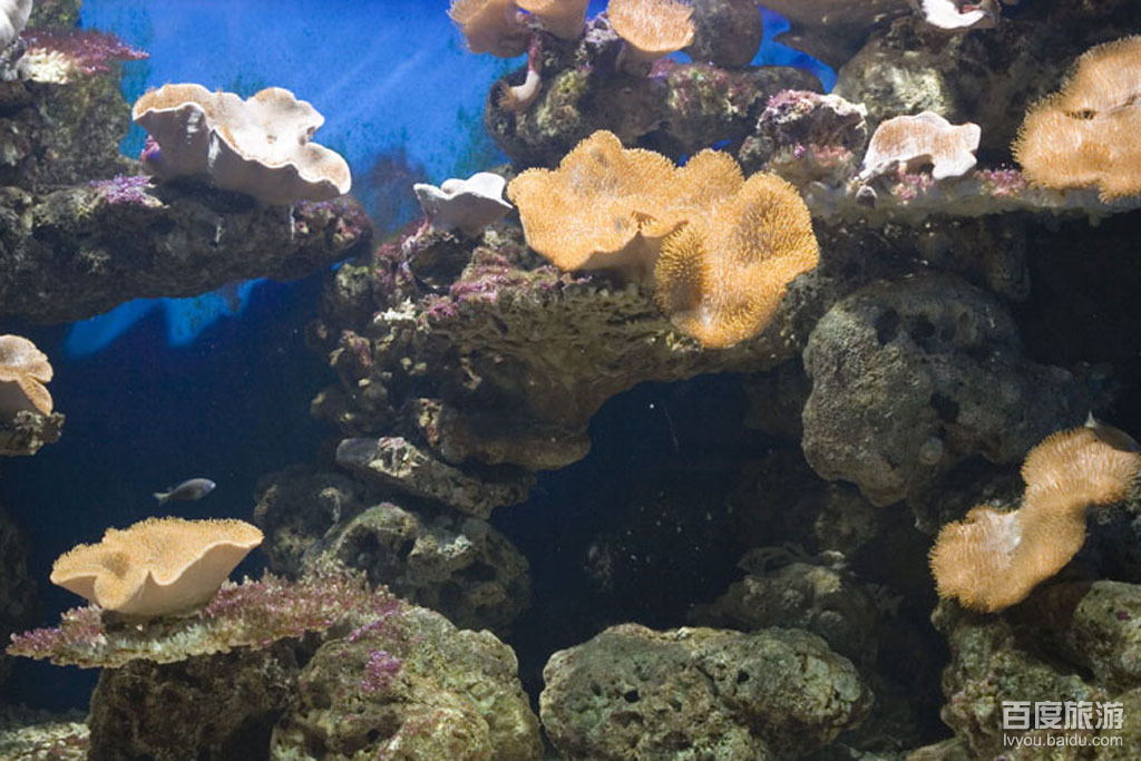  p data-id="gnx0r74xvo">海南博鳌海洋馆位于琼海市 a target="