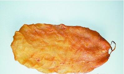 黄唇鱼鳔的医用价值与鱼胶一样含有丰富的 a target="_blank" href="