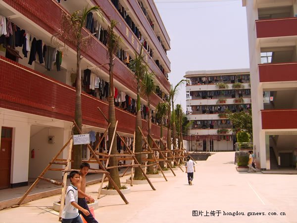 藤县太平镇第一初级中学