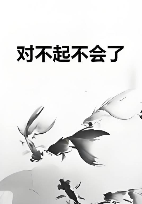 对不起不会了_百度百科