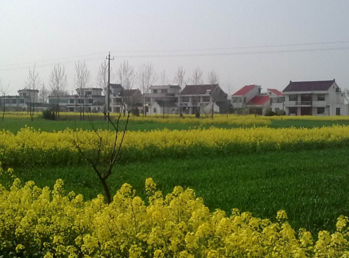 雪岸镇(已撤销),隶属于江苏省 a target="_blank" href="/item/如皋市