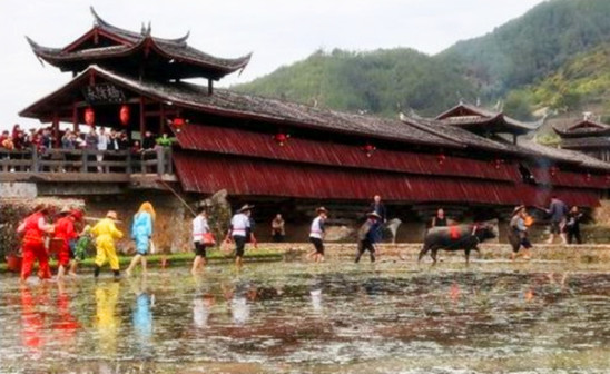 大埔县民俗活动