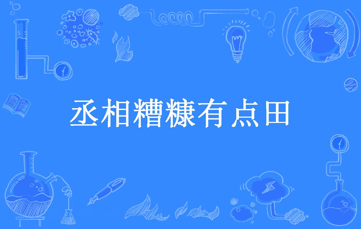 丞相糟糠有点田