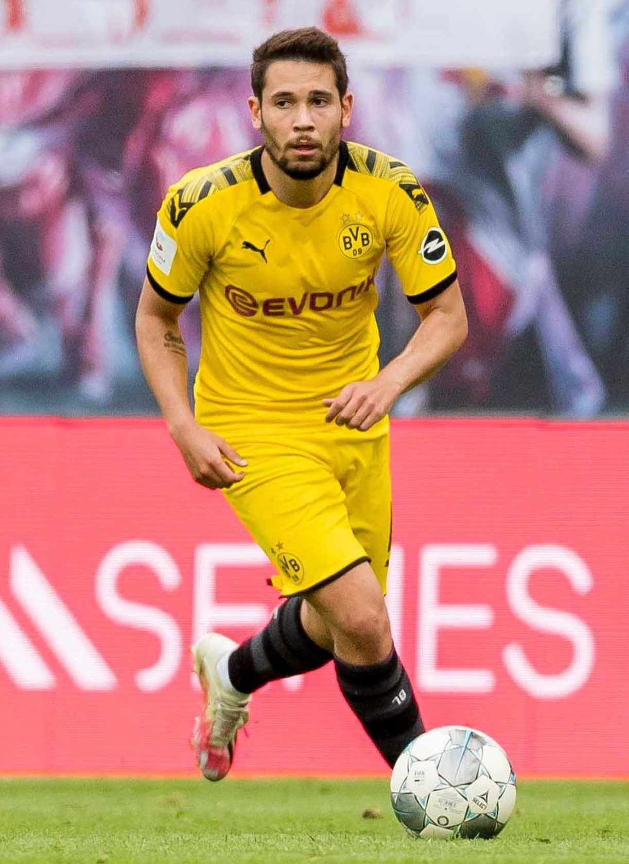 拉斐尔·格雷罗