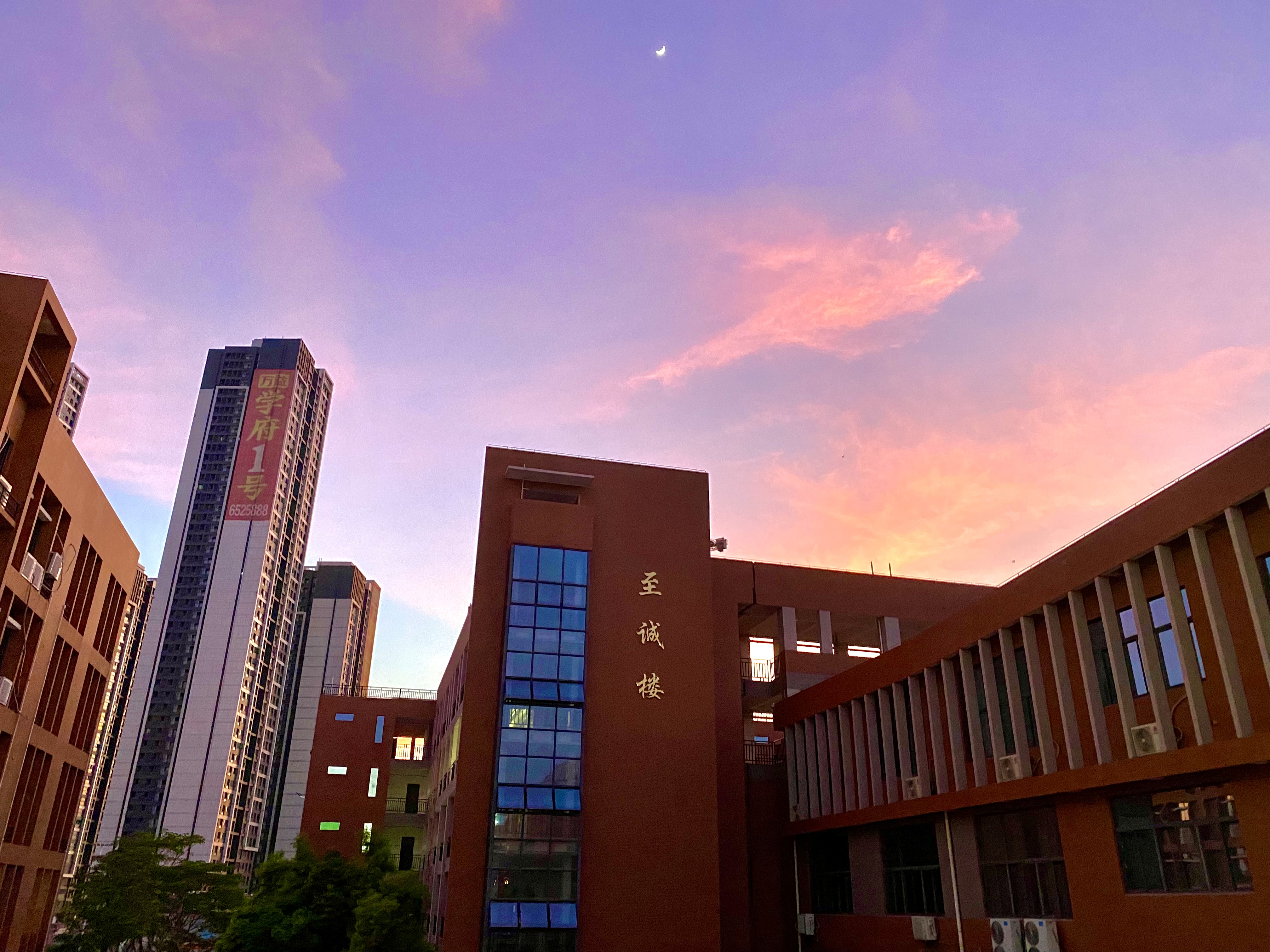 福建省厦门双十中学漳州分校