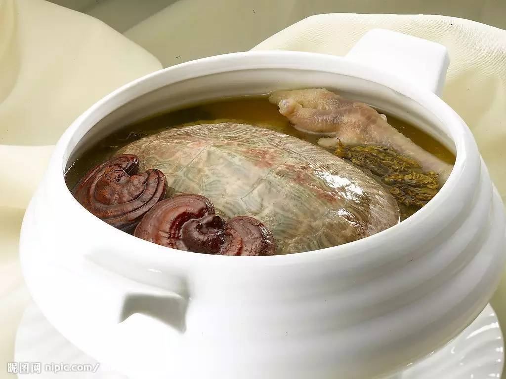 清炖乌龟