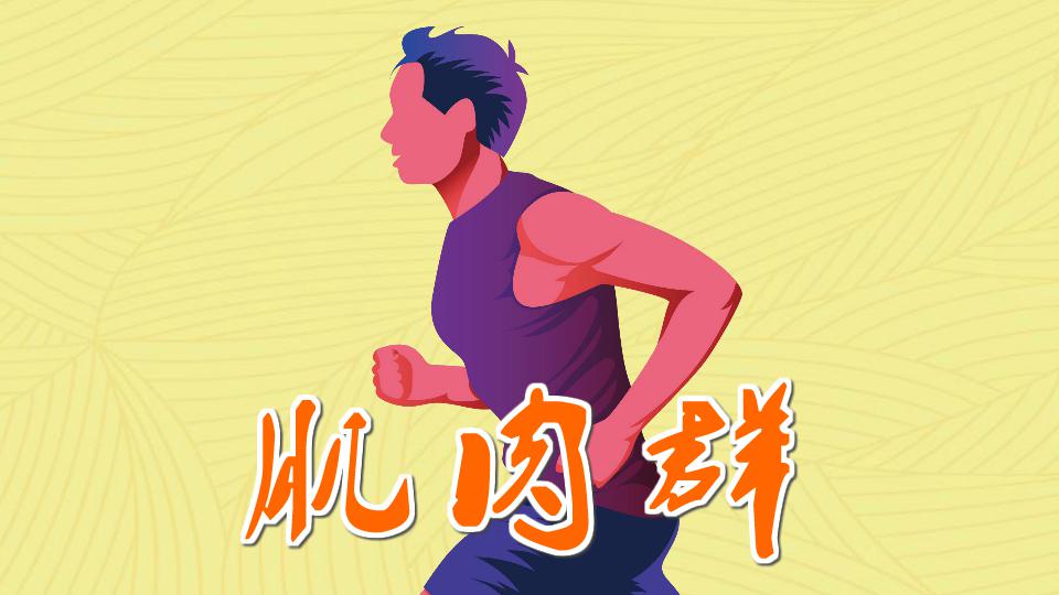 肌肉群:相同或邻近部位肌肉组成的功能统一的群体