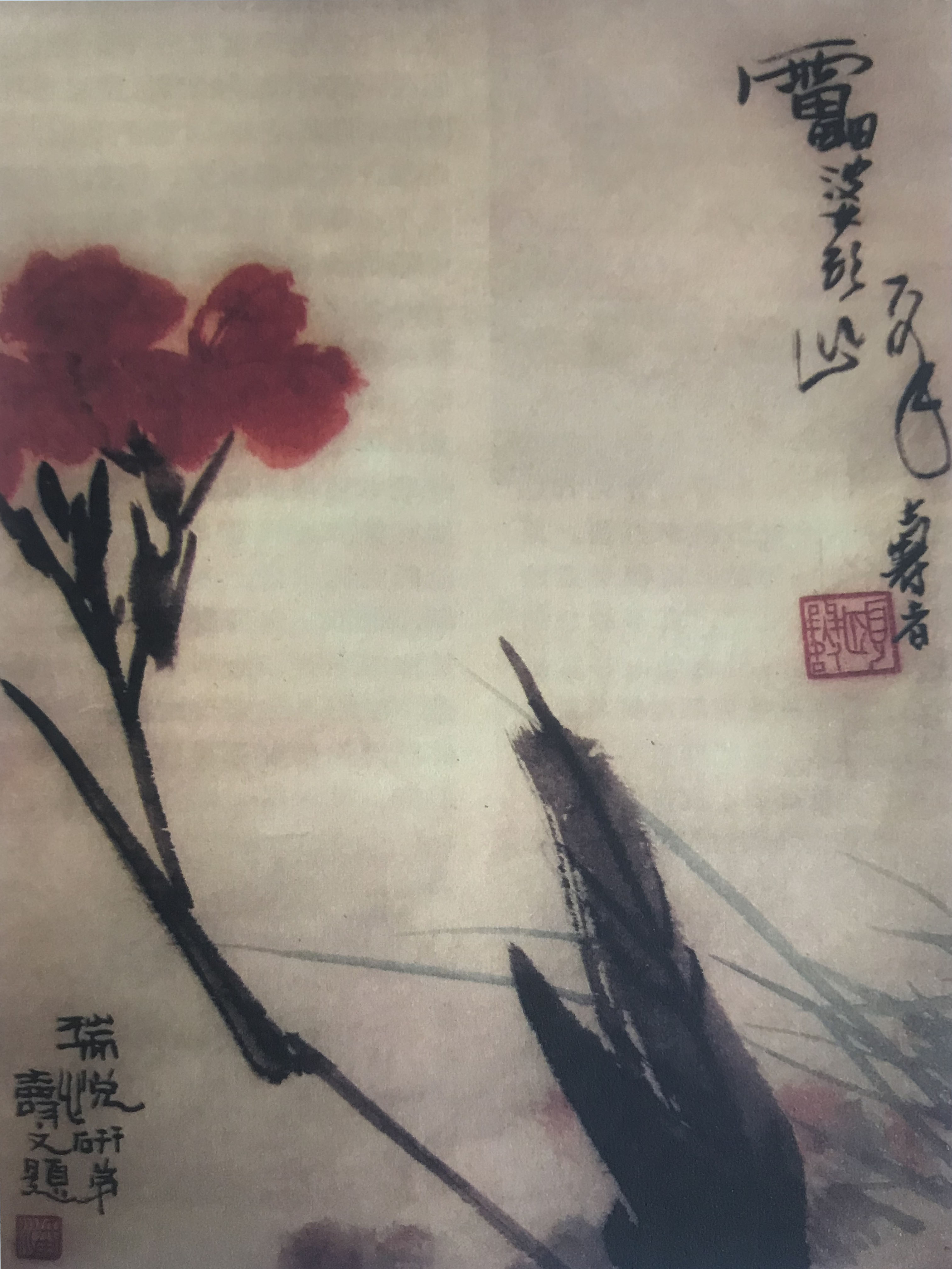 姜锐