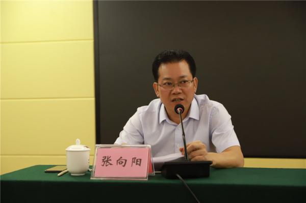 张向阳