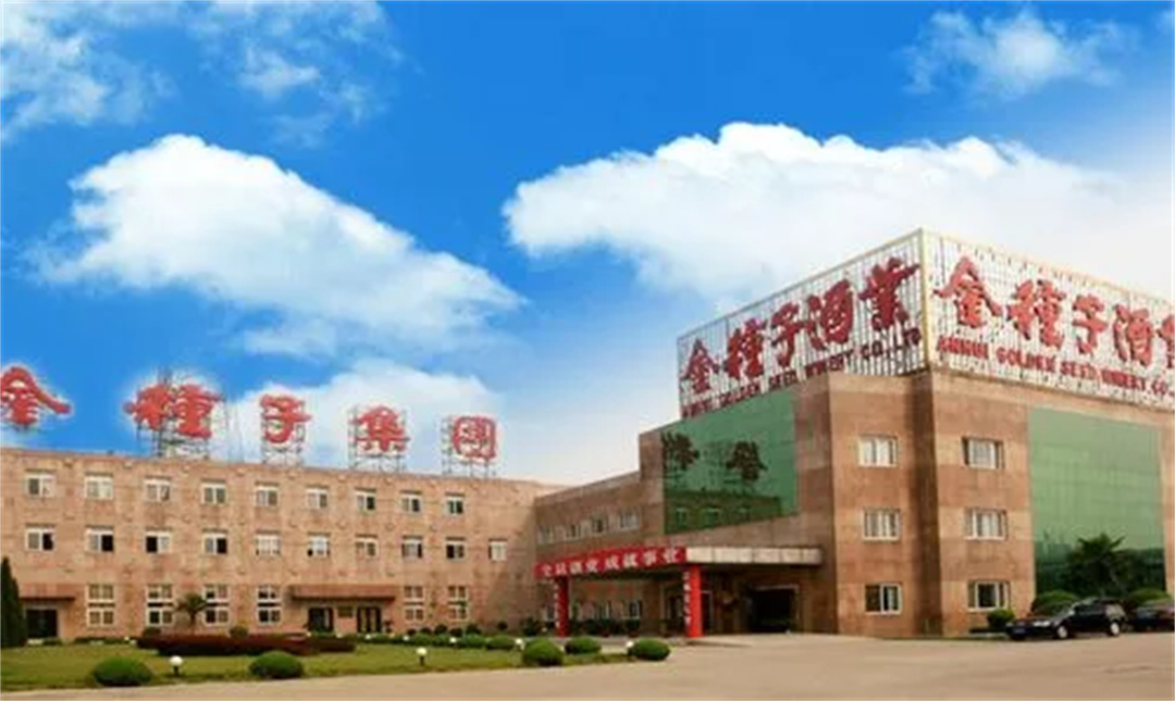 安徽金种子集团有限公司