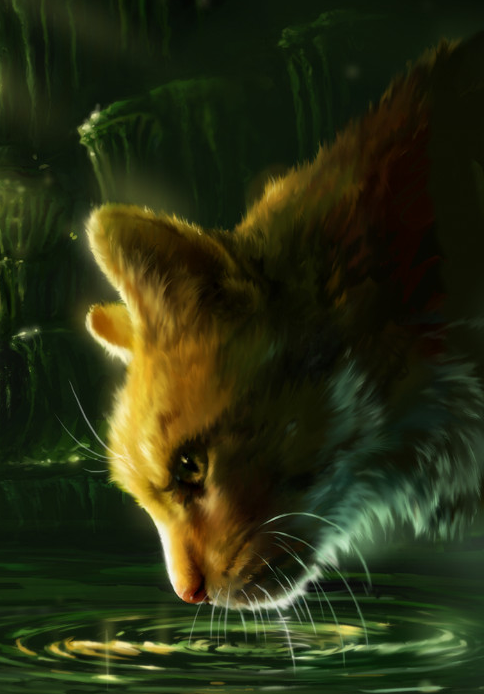 data-lemmaid="4739018">猫武士 /a>》中的族群之一,性格勇敢忠诚