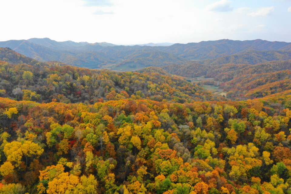 鸡冠山景区位于辽宁省<a target="