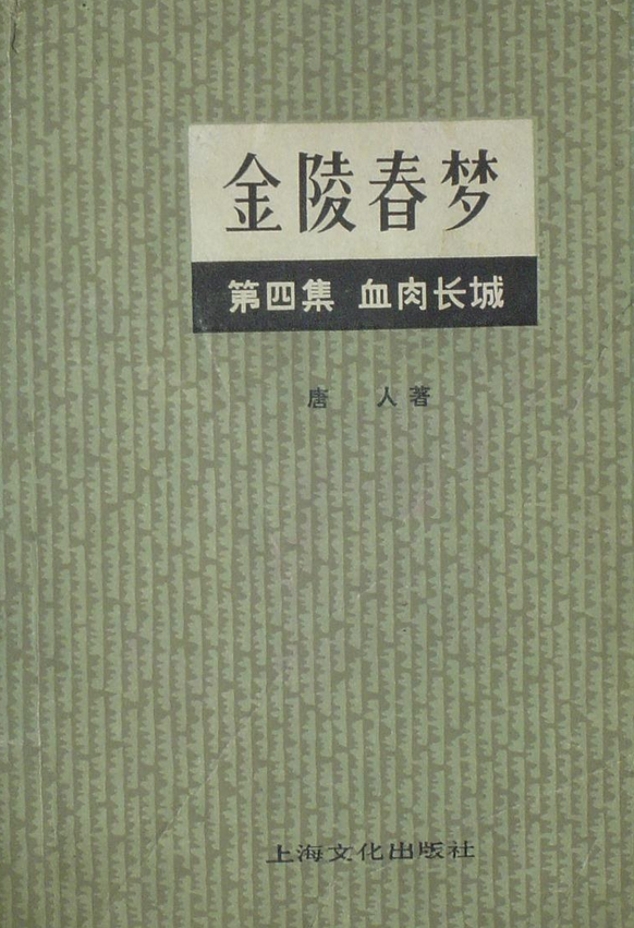 金陵春梦(第四集)