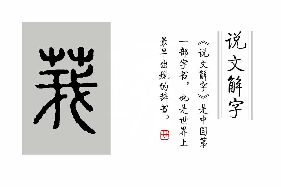 古文《周易》里，为什么选择蓍草来占卜吉凶？_百科TA说
