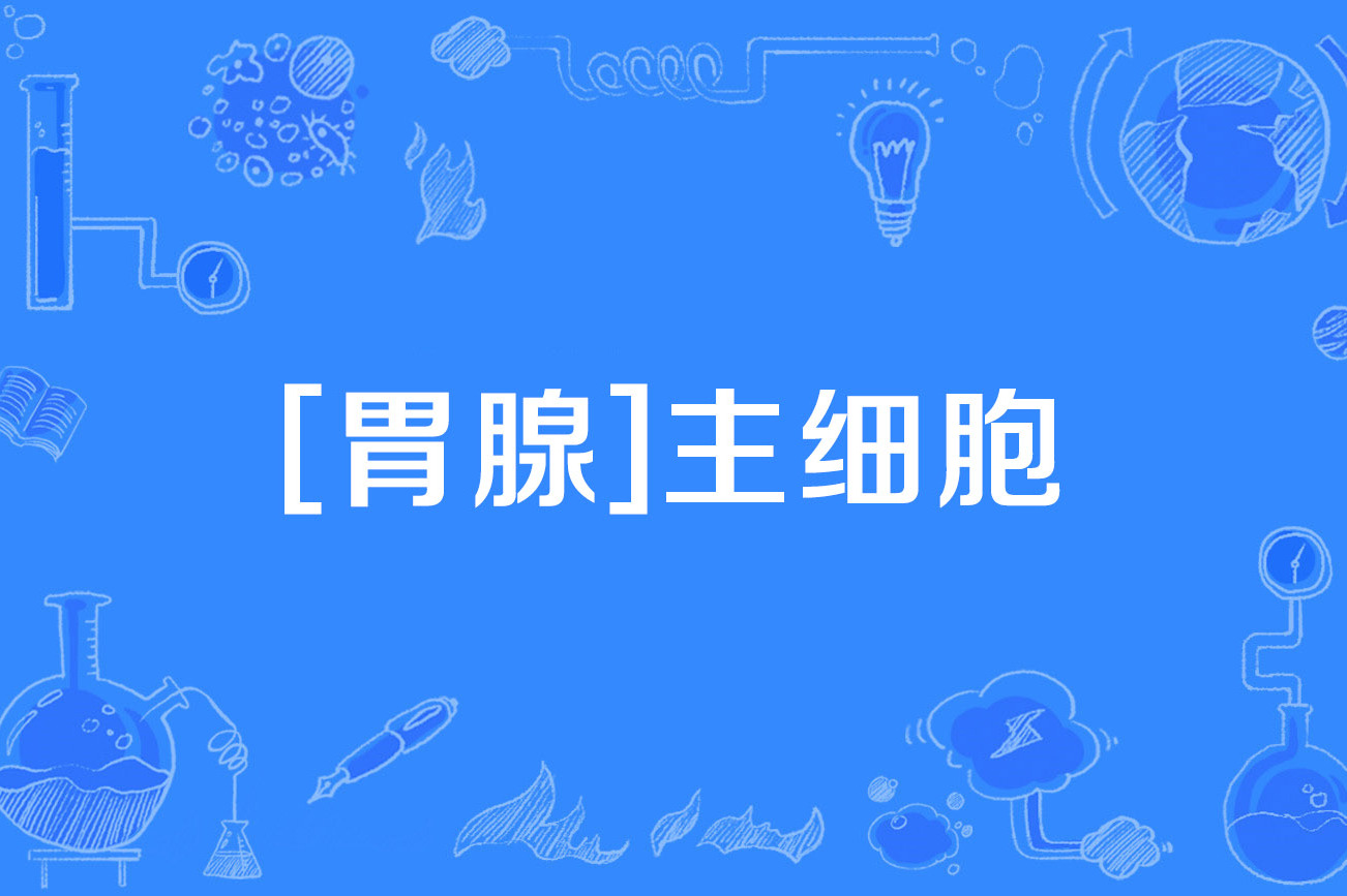 主细胞