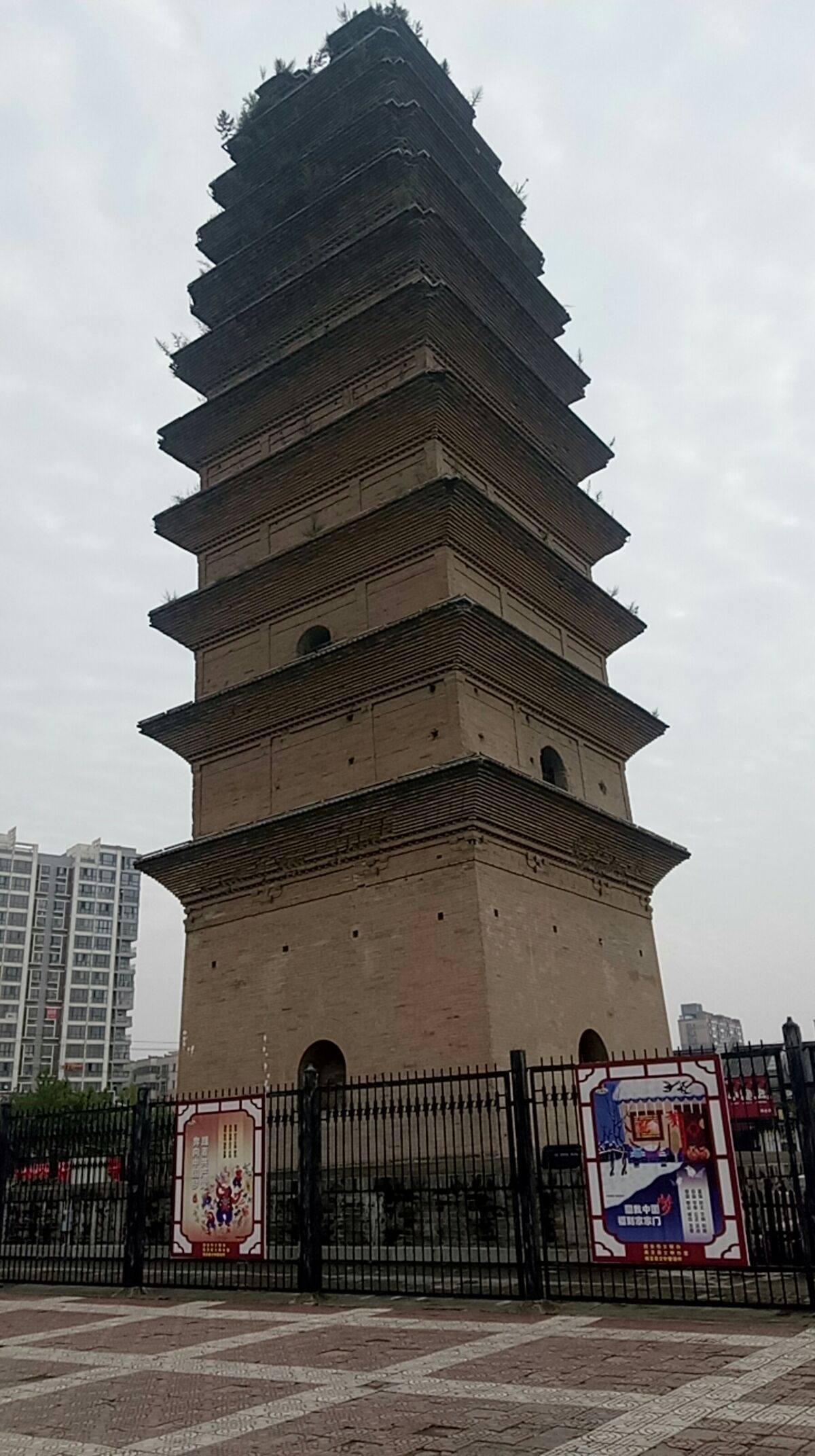 " data-lemmaid="19657132">陕西省 /a>西安市周至县二曲街道中心街南