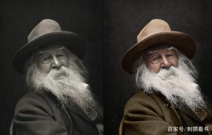 他写出伟大史诗《草叶集》，惠特曼笔下这十句话，文字太深邃了_百科TA说