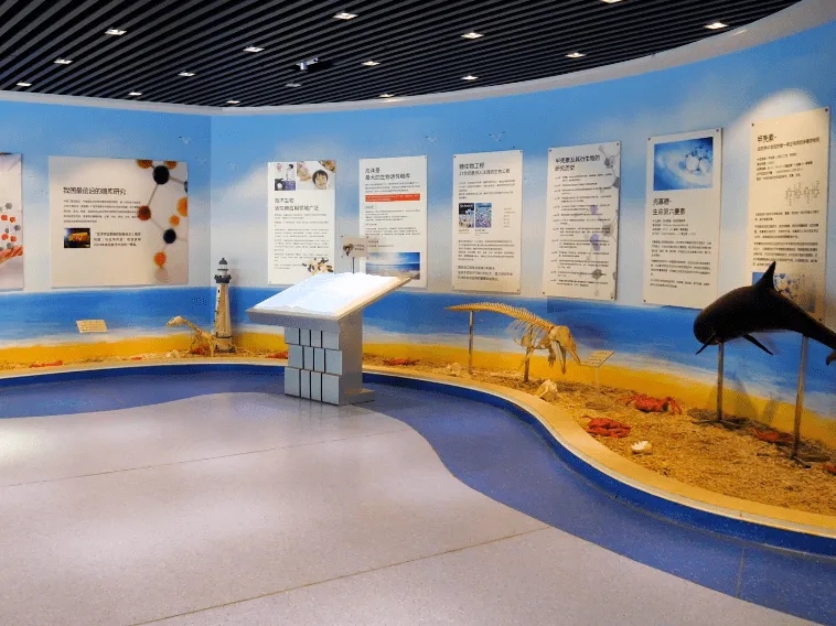 青岛银色世纪海洋生物博物馆