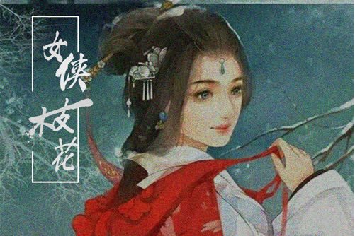 女侠一枝花