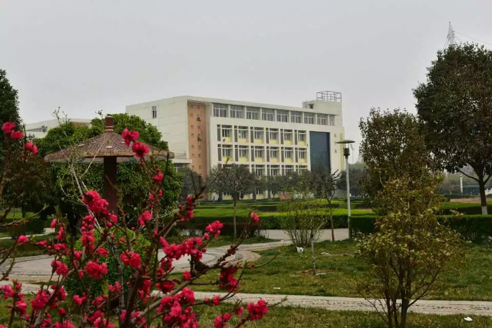 推拿职业学院(henan vocational college of tuina),位于河南省洛阳市