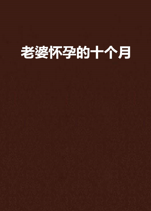 老婆怀孕的十个月