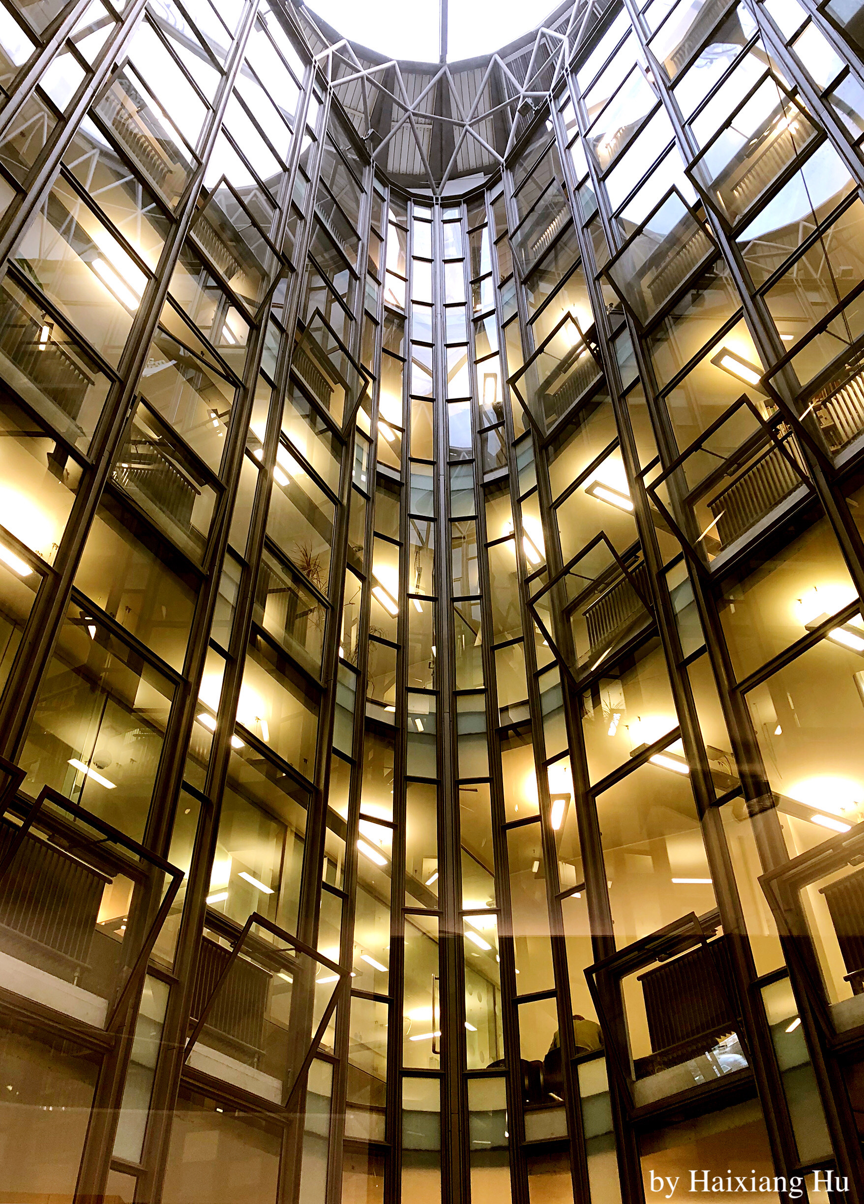 伦敦大学学院