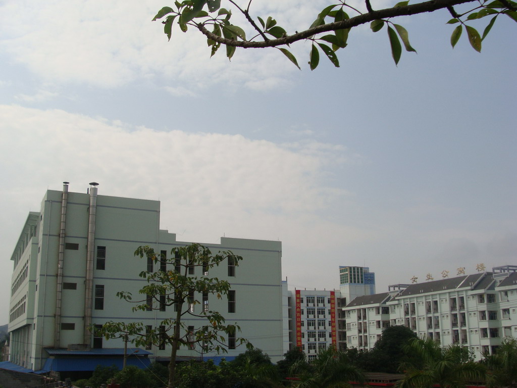 id="13682968">百色市 /a>委,市政府于2005年决定并创办百色民族高中