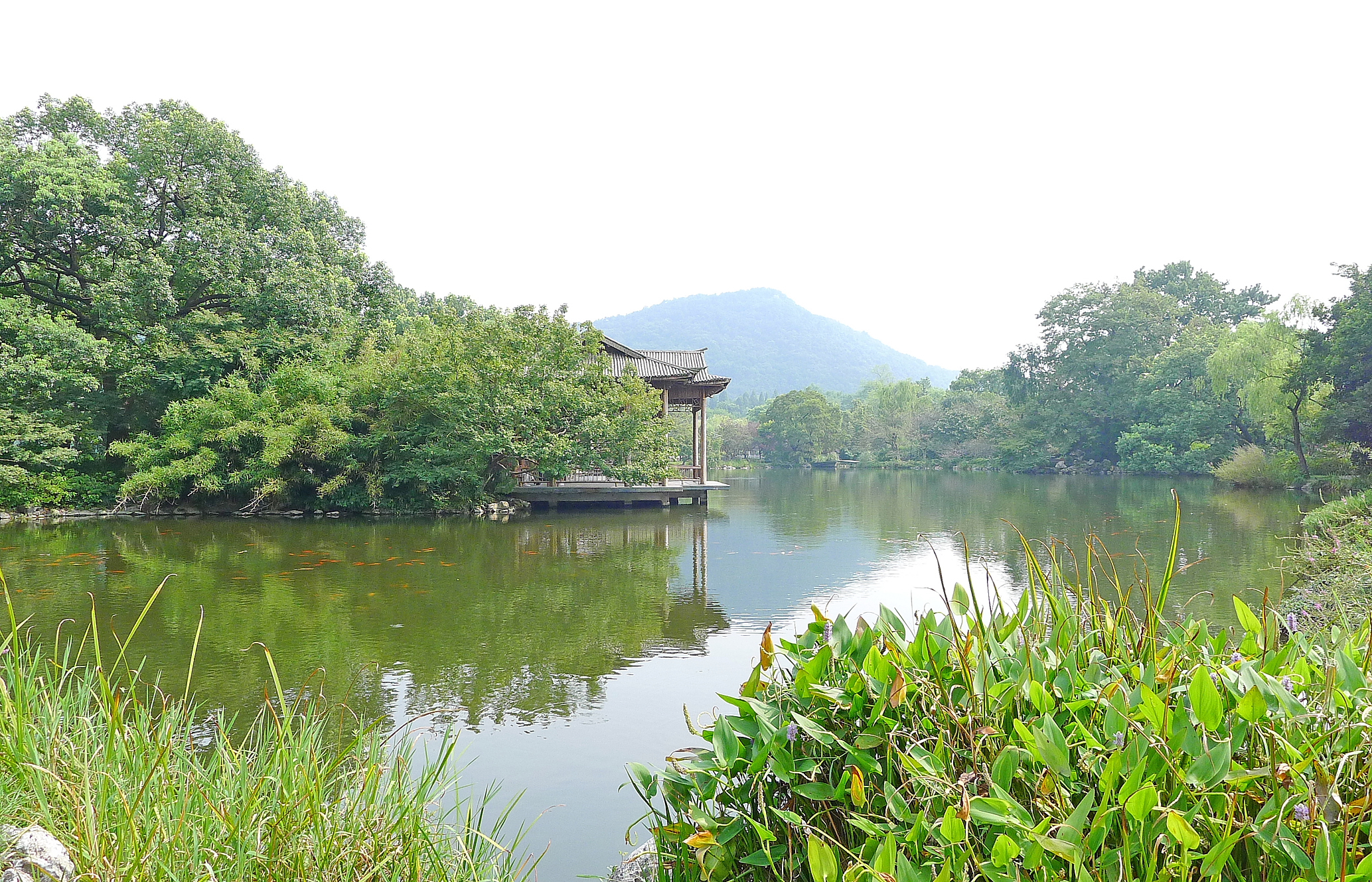 浙江杭州旅游必去十大景点(浙江杭州旅游必去十大景点住一宿多少钱)