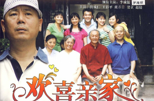 欢喜亲家(11dvd)