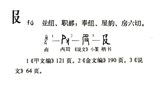  p data-id="gnbtfq477q">服(拼音:fú,fù)为汉语一级通用规范汉字