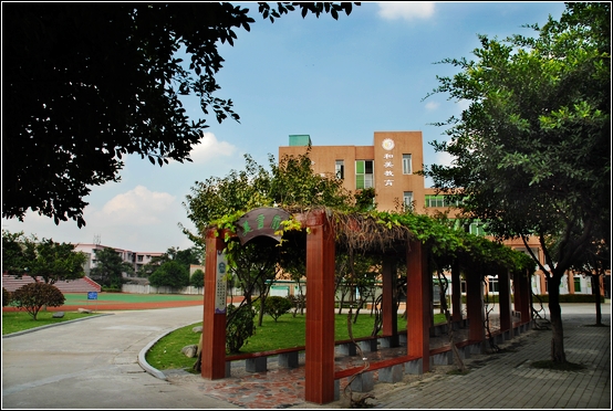  p> a href="#" data-lemmaid="128473">成都 /a>高新区中和小学位于