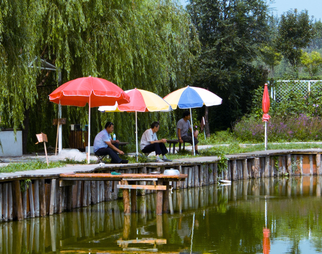 是物种多样性的试验园,同时也是集生态,亲水,休闲,垂钓为一体的生态游