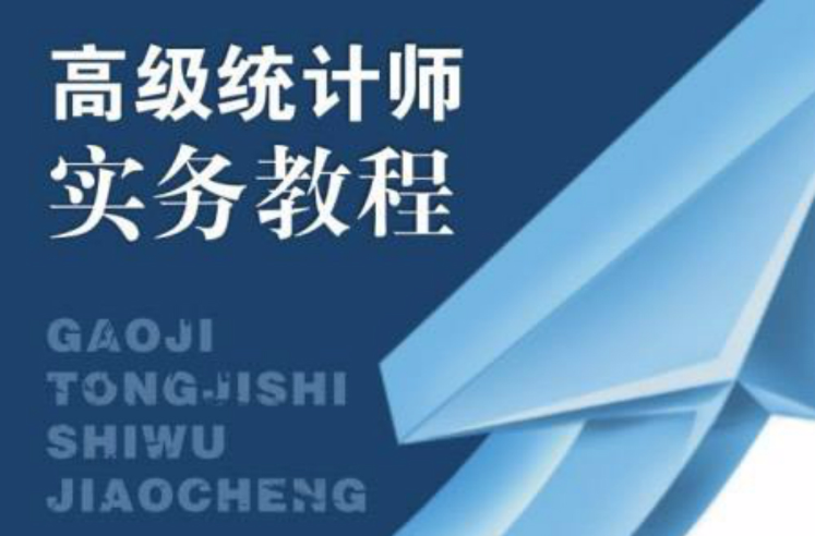 高级统计师实务教程