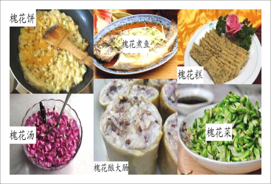 泓森槐
