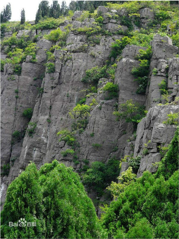 大寨山
