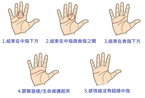 感情线