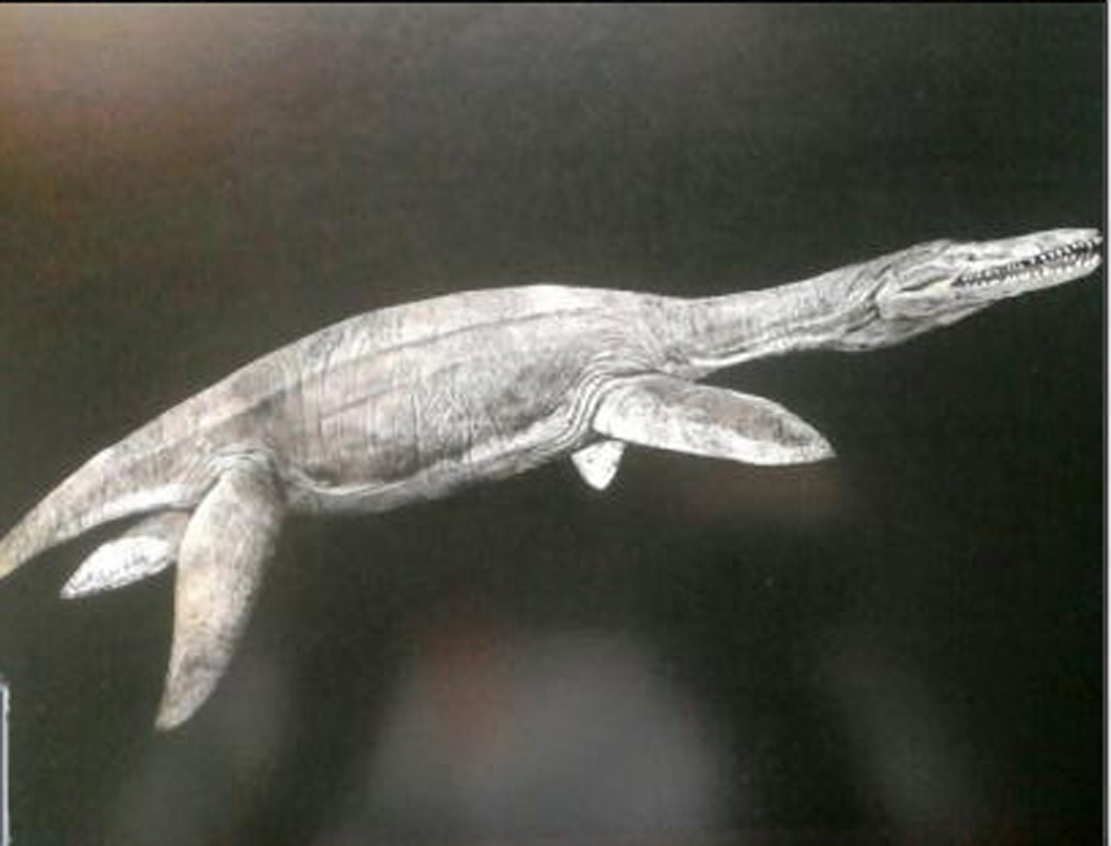  p>上龙是一种已灭绝 a href="#" data-lemmai