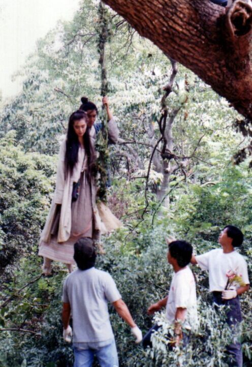  p>《新流星蝴蝶剑》是由 a target="_blank" href="/item/麦当杰