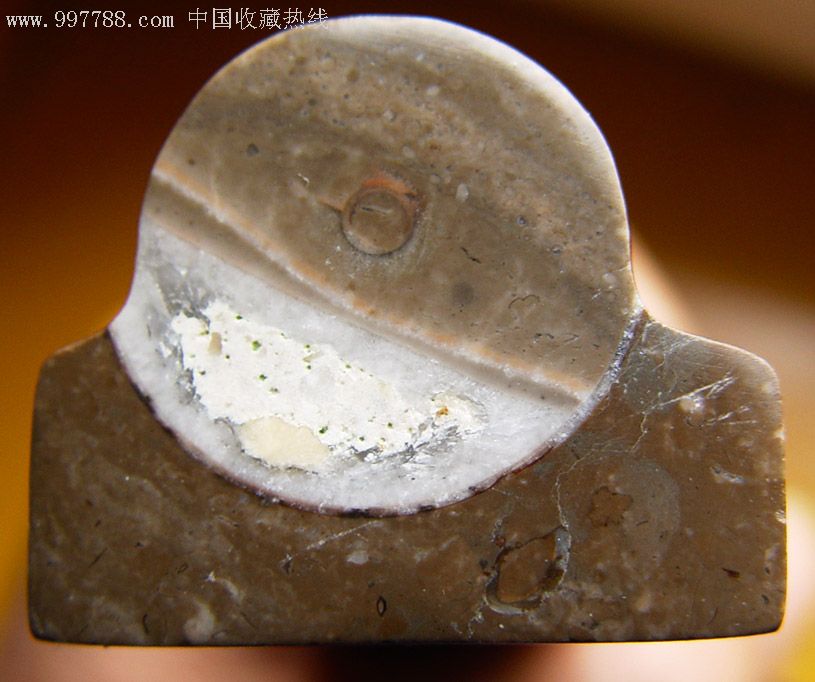  p>震旦角石又称"中华角石", 它的外型如同宝塔一样,所以还有 a href=