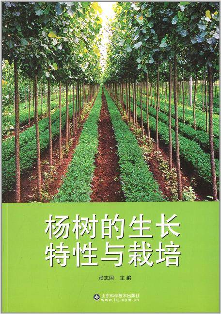 杨树的生长特性与栽培_百度百科