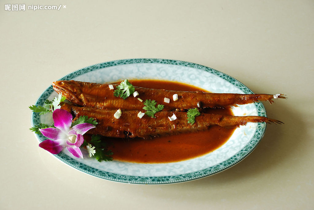  p>七丝鲚属鳀科,鲚属,一般体长18.