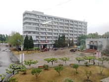 城市