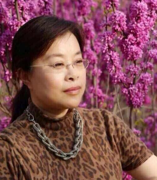 徐莉央视主持人 全网资源