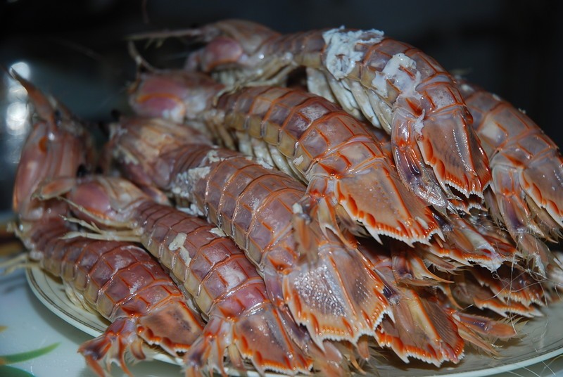  p>圆球虾(学名: i>cyclosphaeroma /i>)是生存于 a target="_blank"