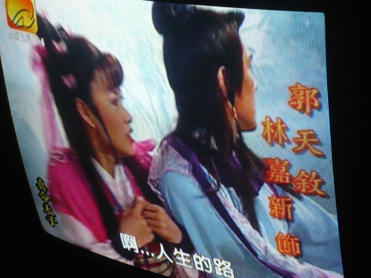 真命天子