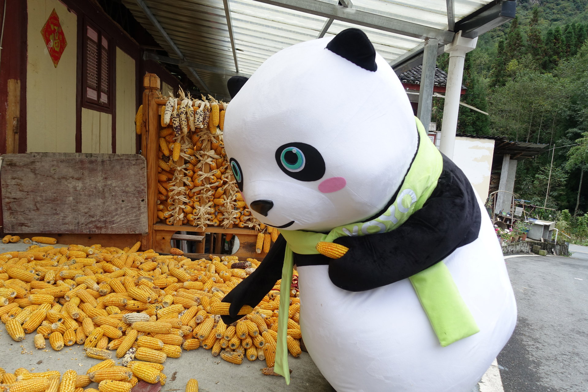  p>全友家居在其成立30周年之际,正式向外界推出了全新的熊猫形象.