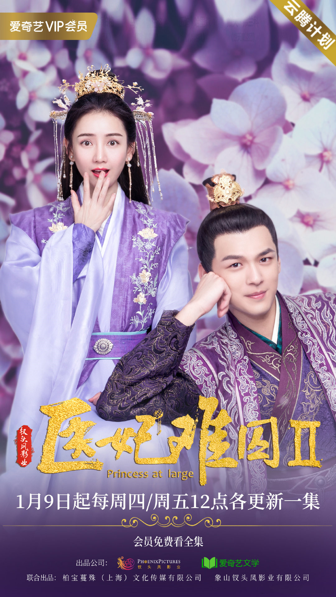 医妃难囚第二季